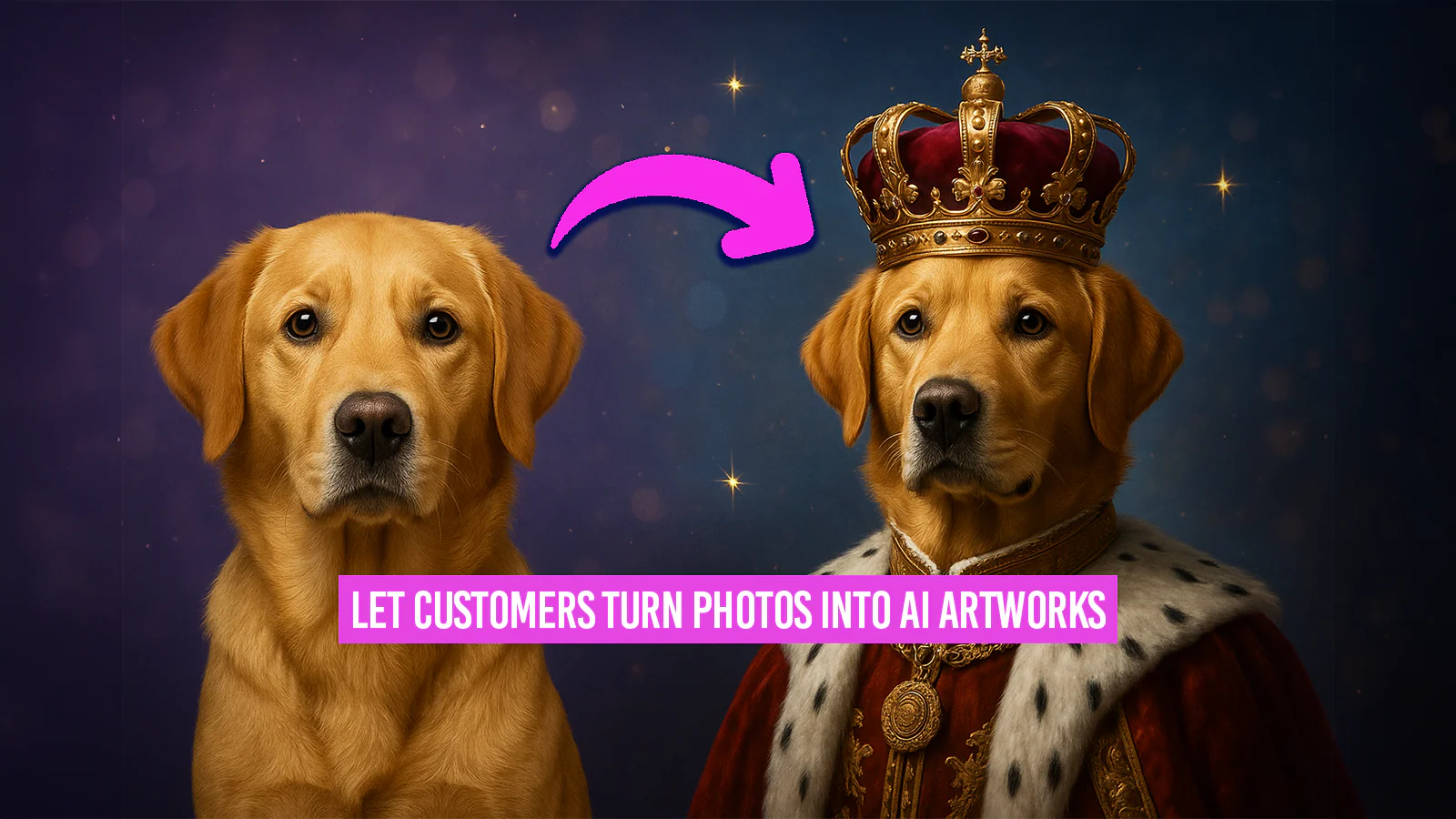 Autopictura banner example